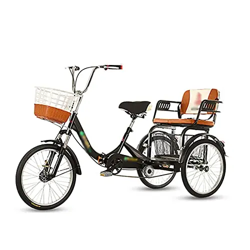 Best 2 Seater Tricycle For Adults - 2026 Reviews - Rox Toys